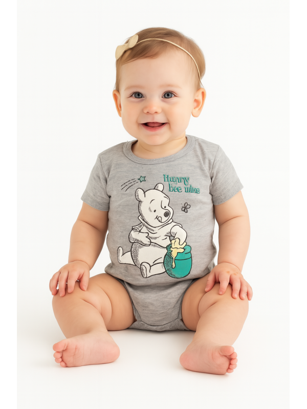 bodysuits 2pcs