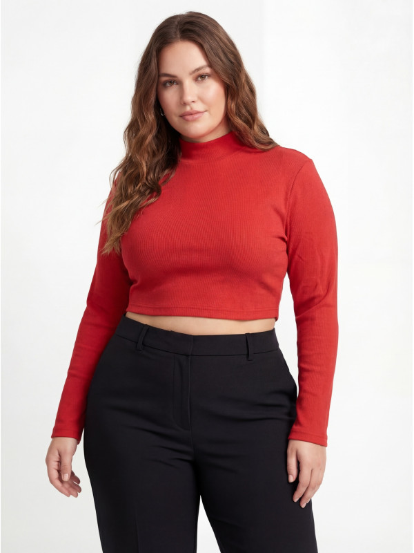 Crop top (2 pc )